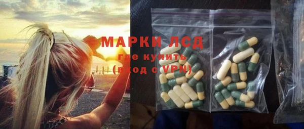 гашик Алексин