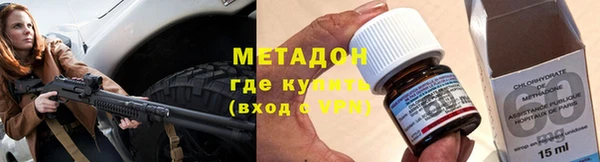 прущие грибы Алексеевка