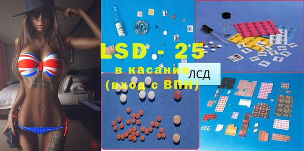 прущие грибы Алексеевка