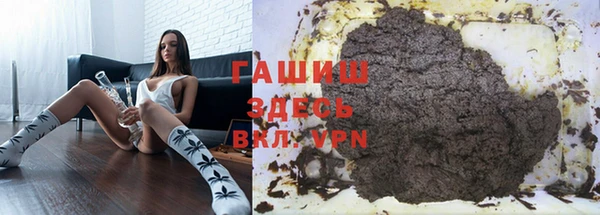гашик Алексин