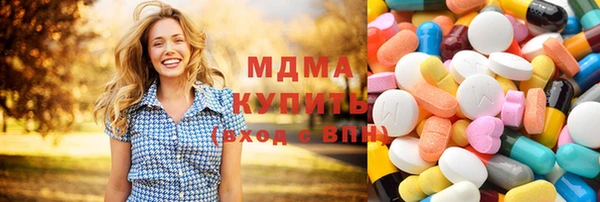 гашик Алексин