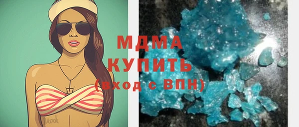 гашик Алексин