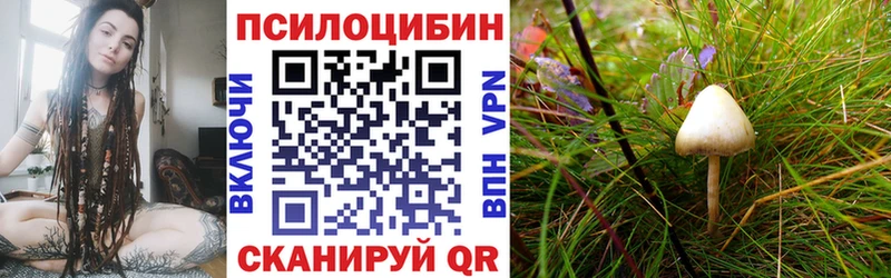 Псилоцибиновые грибы GOLDEN TEACHER купить сайты мориарти формула Цимлянск